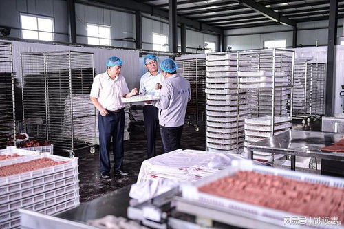 后厨里的黑暗 记者卧底鸭肠鹅肠工厂，揭开食品安全触目惊心的真相